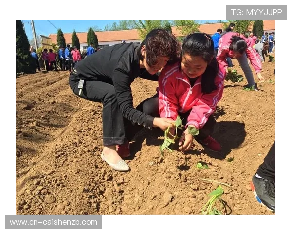十一选五选号技巧全解析与投注技巧全面指导